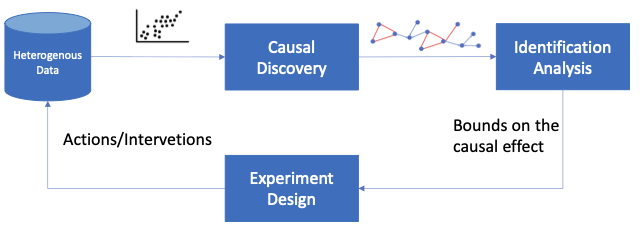End-to-End Causal Inference Framework